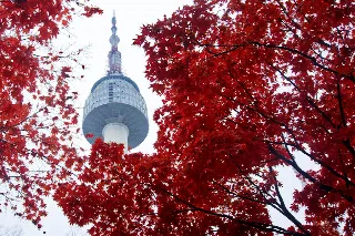หอคอยเอ็นโซลและใบไม้สีแดง ประเทศเกาหลีใต้